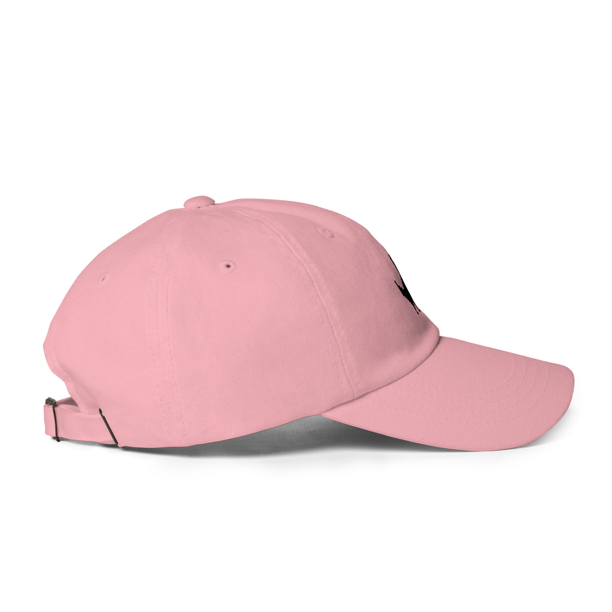 Google Dino - Dad hat