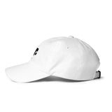 Google Dino - Dad hat