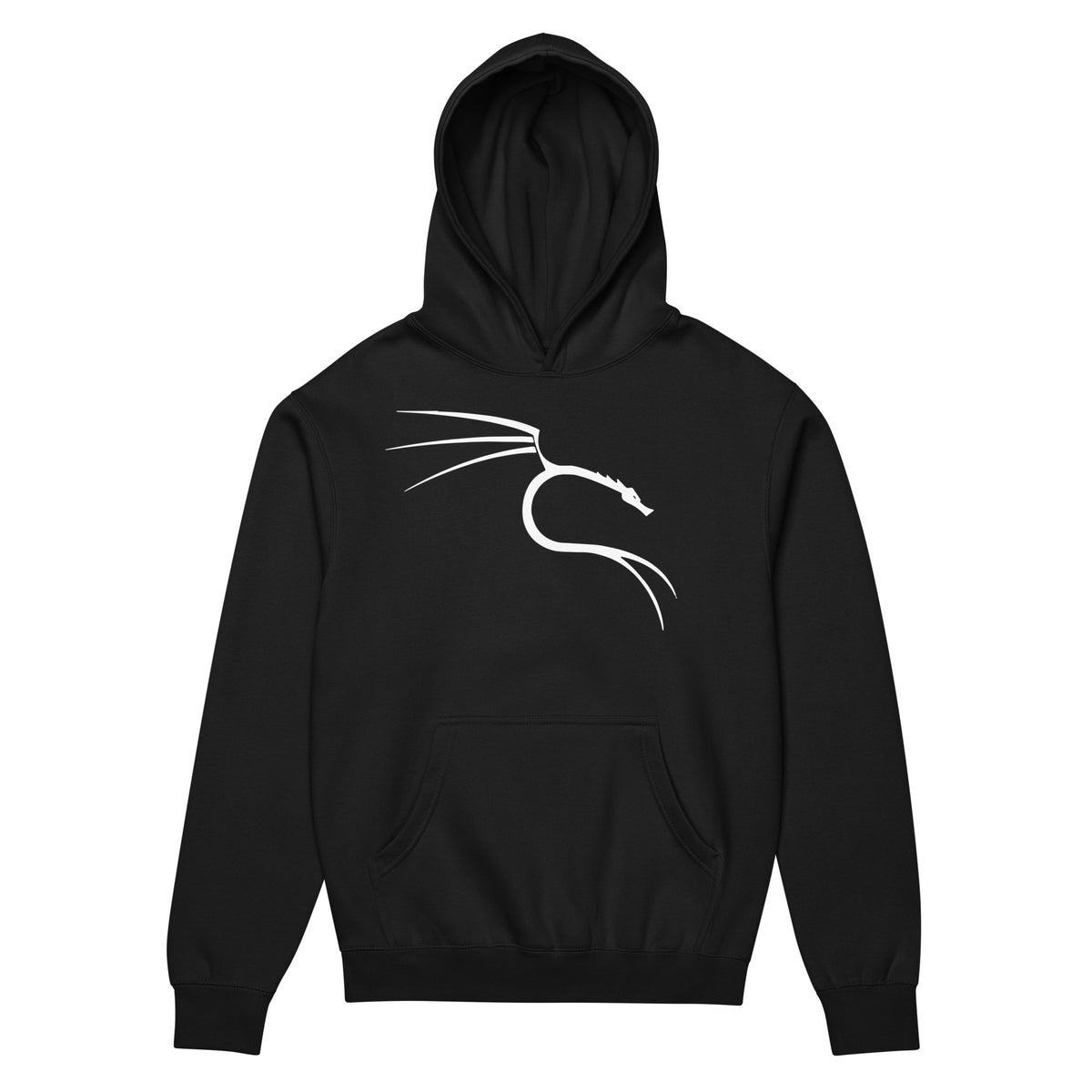 Kali Linux – The Power of Penetration Testing - Men’s box hoodie