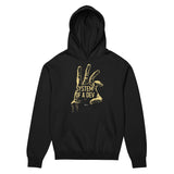 System of a Dev - Men’s box hoodie