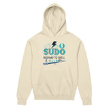 Sudo - Highway to Shell Linux - Men’s box hoodie