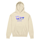 The C++ Programming Language, Second Edition - Men’s box hoodie