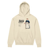 Well-Grounded Java Developer - Men’s box hoodie