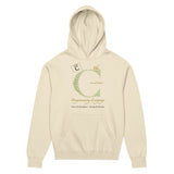 The C Programming Language  - Men’s box hoodie