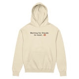 Waiting for Claude to Reset - Men’s box hoodie