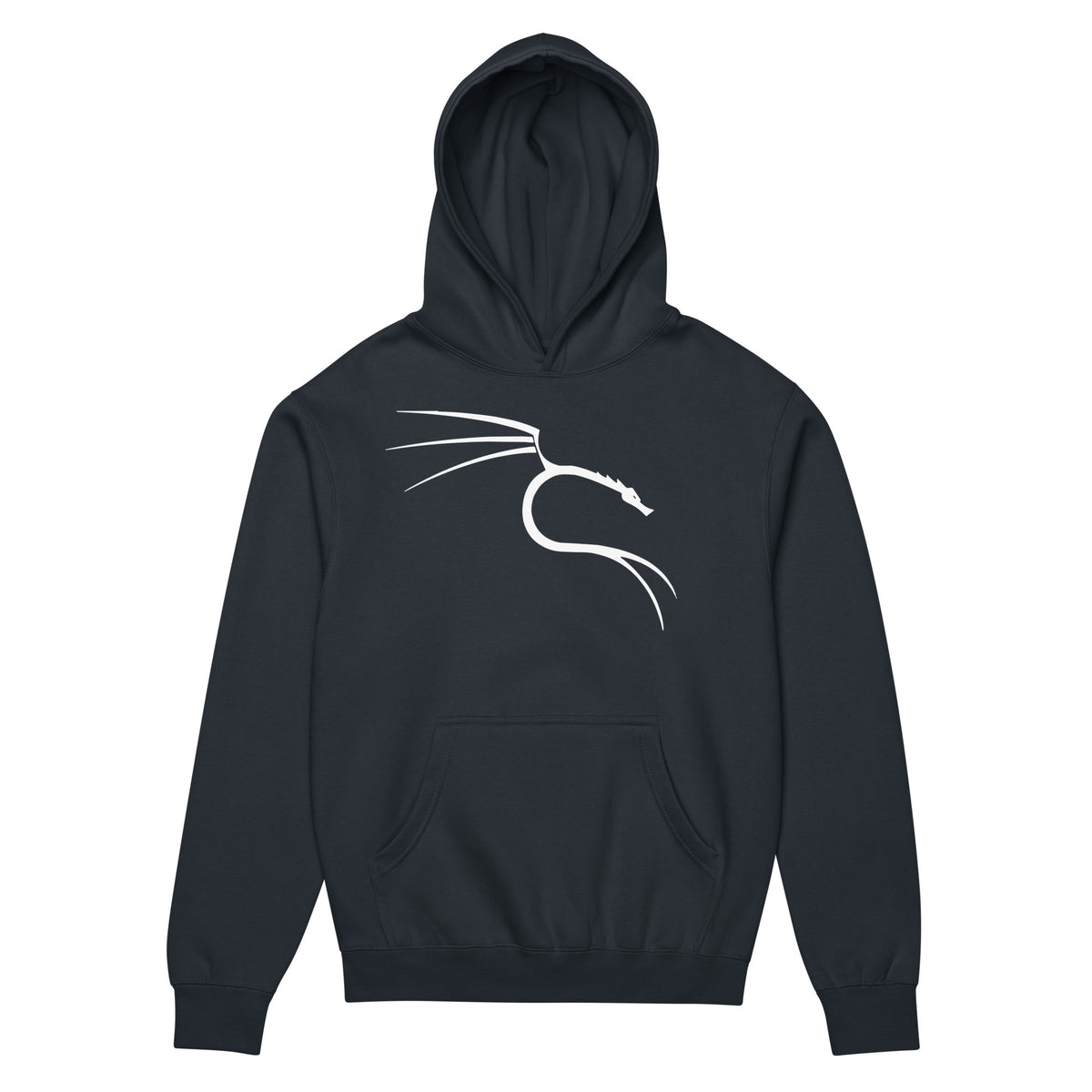 Kali Linux – The Power of Penetration Testing - Men’s box hoodie