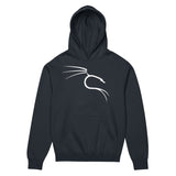 Kali Linux – The Power of Penetration Testing - Men’s box hoodie