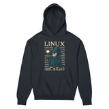 Linux Wizard - /bin/bash Edition - Men’s box hoodie