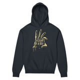 System of a Dev - Men’s box hoodie