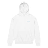 npm install self-worth - Men’s box hoodie