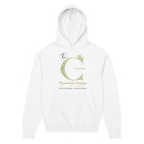 The C Programming Language  - Men’s box hoodie