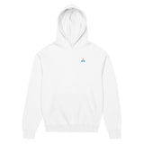 Git Commit -m "?"  - Men’s box hoodie